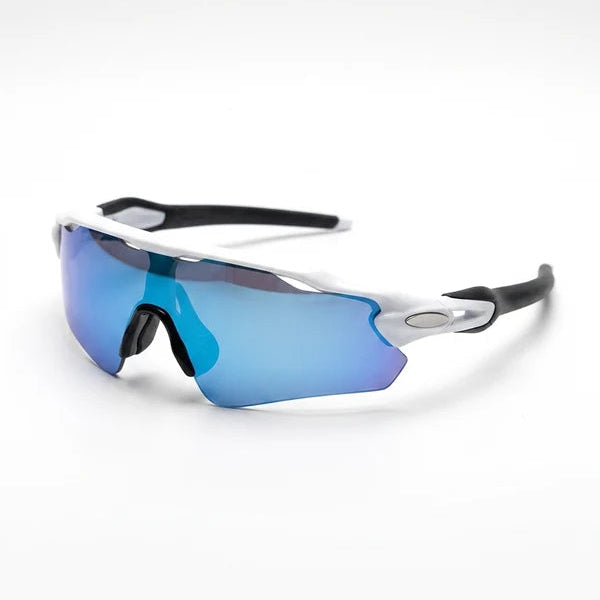 DASH ARCTIC