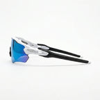 DASH ARCTIC