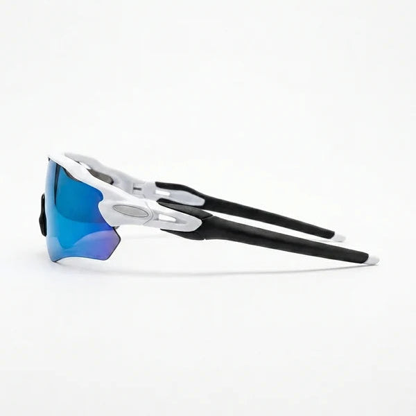 DASH ARCTIC