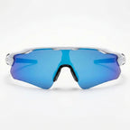 DASH ARCTIC